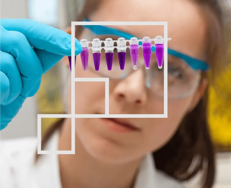 Scientist examining vials of purple liquid