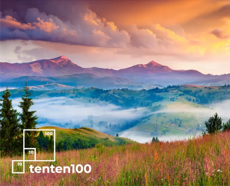 Mountain landscape with mist and wildflowers